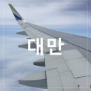 대만 여행 3박 5일(부산에서 타이베이, 시먼, 가오슝, 이지카드, 로얄리스호텔, 고궁박물관, 왓슨스 外)