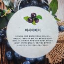 건강에진심(!) | “눈 건강에 진심이 있다면" 눈영양제 내돈내산 후기