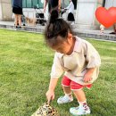 호돌이카 | [정선 2일차] 정선 가리왕산 케이블카 / 아기랑 파크로쉬 즐기기 / 아기랑 국내 여행