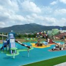 곡성 섬진강 기차마을 이미지