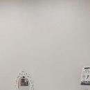 루시디자인