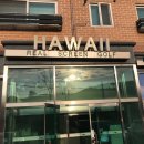 하와이스크린골프 이미지