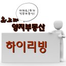 하이리빙아파트 이미지