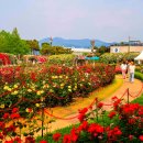 섬진강순환2 이미지