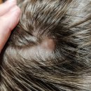 자연이 하는 말을 받아쓰다 | 꾸띄르 새치 염색샴푸 시즌 4 조혜련 염색약 내돈내산 후기