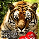 신풍각 이미지