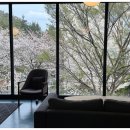 카페목화골 이미지