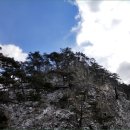 세인장 Daum카페