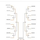 용인대 도당 유도 체육관 이미지