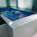 미쉘키즈풀빌라펜션 이미지