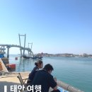 오케이찹쌀꽈배기 - 울주군 동문길 84 | 태안 여행지 안면도 백사장항 수산시장 횟집 맛집 솔직 후기