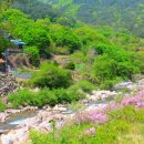 산내면 덕동마을 이미지