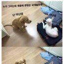 누 이미지