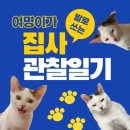 나의 반짝 그루밍 이미지