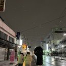 슌노사카나야 이미지