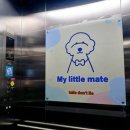 마이리틀메이트 이미지