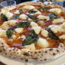 꽃피는화덕피자D485 이미지