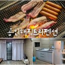 용인해피트리펜션