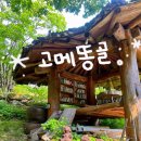 곰배령마루 | [강원도/인제] 숲속 독채숙소 촌캉스 &#34;고메똥골&#34; 후기