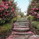 동백호텔 이미지