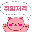 이십팔포차