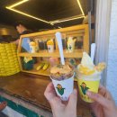 도토리김밥 | 도보여행코스 추천] 도토리 게하·황리단길·스컹크웍스·교동김밥 완벽 후기 (포항·강릉까지 1박2...