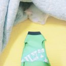 아리의옷장