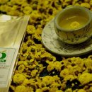 건제약국 이미지