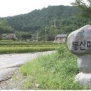 입석1구 Daum카페