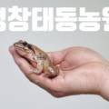 봉평건강원