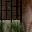 펫브런치 이미지