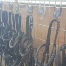 굴레목장 이미지