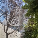 서상록한의원 이미지