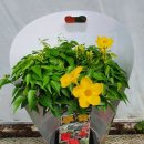 동현농장 이미지