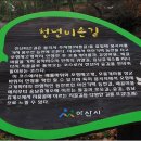 비손 이미지