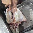 정복학원