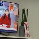 보인내과의원 이미지