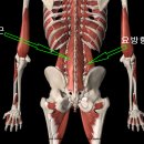 화목한의원 이미지