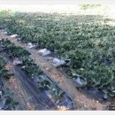 산아래 쉬는집 이미지