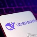 라온 소프트 이미지