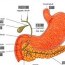 양산부부한의원 이미지