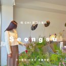 [성수] 취CHI 팝업스토어, 봄 내음 가득한 야생화원 다녀온 후기