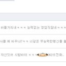 보비드림 이미지