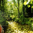 사람과 자연 이미지