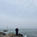 봉포대게찜 게 섯거라 이미지