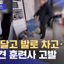 줄 매달고 발로 차고‥반려견 훈련사 고발 이미지