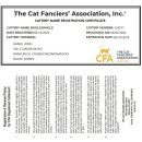 빙글뱅글캐터리 이미지