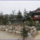 산수유축제장 이미지