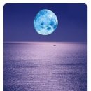 히까루 - 서대문구 연세로7안길 8 | 히까루