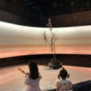 리따케이스 | [아기랑갈만한곳] 아이 친구들 모임 장소로 선택했는데 결과는 대성공 | 바리투스 카페 방문기